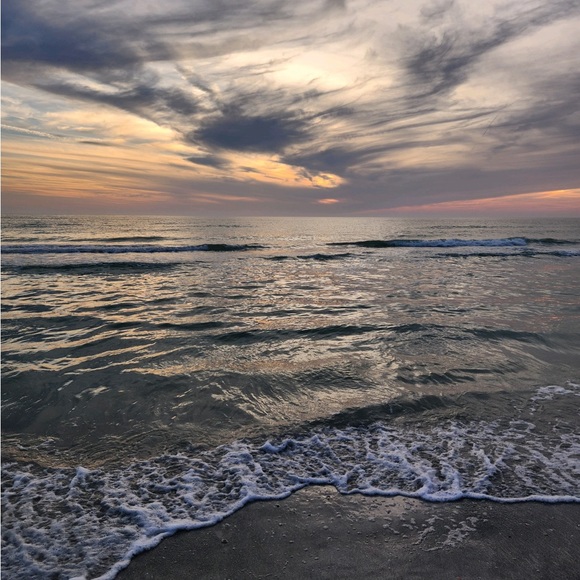 Meet your Posher, Kate - Picture 1 of 1